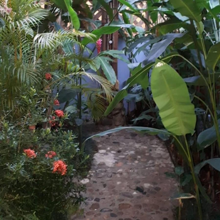 Suites&chales Madalenas Itamambuca Guest house